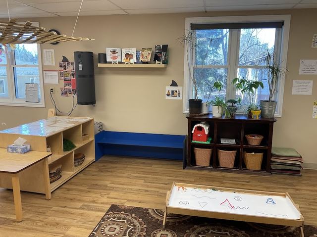 Blue bench and shelf of potted plants forming a calm reading nook